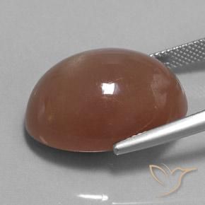 Piedra de Luna Marrón natural de 25.38 ct, Ovalada, Opaco