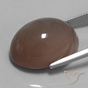 Piedra de Luna Marrón expreso natural de 29.70 ct, Ovalada, Opaco