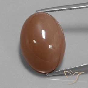 30.83ct Natural Marrón Piedra de Luna, Ovalada, Opaco