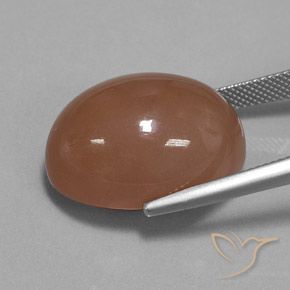 Piedra de Luna Marrón natural de 30.83 ct, Ovalada, Opaco