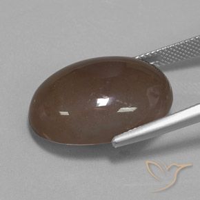 Piedra de Luna Marrón medio natural de 22.19 ct, Ovalada, Opaco