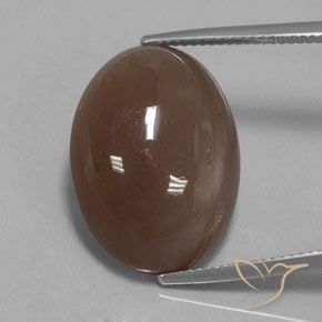 20.61ct Natural Marrón medio Piedra de Luna, Ovalada, Opaco
