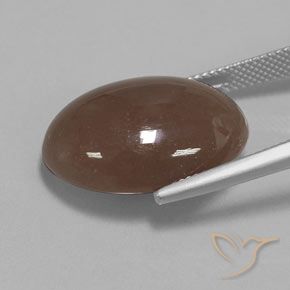 Piedra de Luna Marrón medio natural de 20.61 ct, Ovalada, Opaco