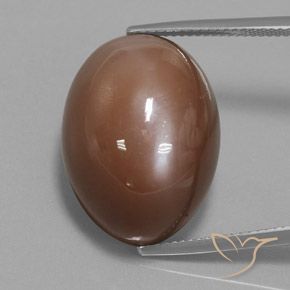 31.30ct Natural Marrón cálido Piedra de Luna, Ovalada, Opaco