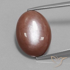 18.74ct Natural Marrón canela Piedra de Luna, Ovalada, Opaco