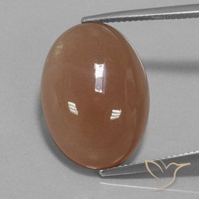 19.57ct Natural Marrón medio Piedra de Luna, Ovalada, Translúcido