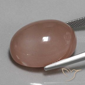 Piedra de Luna Marrón natural de 29.74 ct, Ovalada, Opaco
