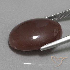 Piedra de Luna Marrón medio natural de 18.53 ct, Ovalada, Opaco