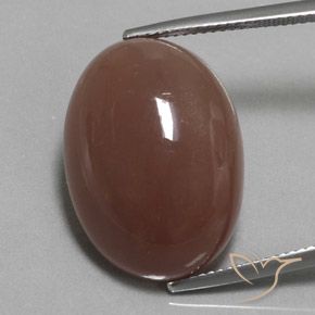 23.37ct Natural Marrón medio Piedra de Luna, Ovalada, Opaco