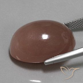 Piedra de Luna Marrón canela natural de 26.33 ct, Ovalada, Opaco