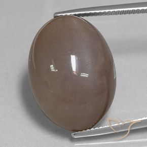 28.97ct Natural Marrón medio Piedra de Luna, Ovalada, Opaco