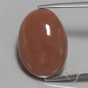22.59ct Natural Marrón medio Piedra de Luna, Ovalada, Opaco