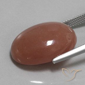 Piedra de Luna Marrón medio natural de 22.59 ct, Ovalada, Opaco