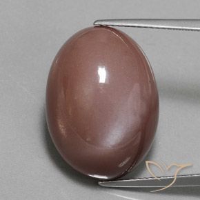 23.55ct Natural Marrón medio Piedra de Luna, Ovalada, Opaco