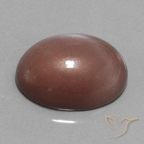 Piedra de Luna Marrón medio natural de 23.55 ct, Ovalada, Opaco