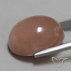 Piedra de Luna Marrón rojizo natural de 32.50 ct, Ovalada, Opaco