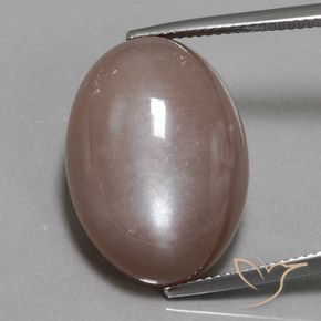 25.09ct Natural Marrón claro Piedra de Luna, Ovalada, Opaco
