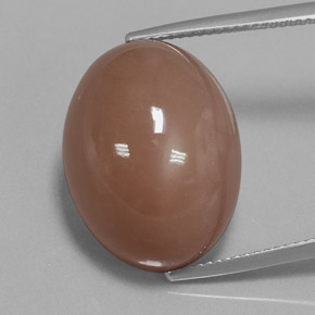Piedra de Luna Marrón cálido natural de 27.02 ct, Corte Óvalo, Opaco