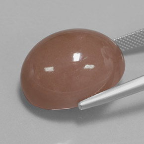 Piedra de Luna Marrón cálido natural de 27.02 ct, Corte Óvalo, Opaco