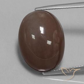 20.93ct Natural Marrón medio Piedra de Luna, Ovalada, Opaco