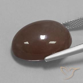 Piedra de Luna Marrón medio natural de 20.93 ct, Ovalada, Opaco