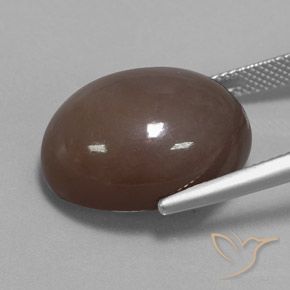 Piedra de Luna Marrón chocolate natural de 21.72 ct, Ovalada, Opaco