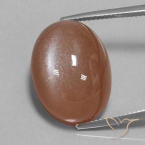24.75ct Natural Marrón cálido Piedra de Luna, Ovalada, Opaco, Photo A