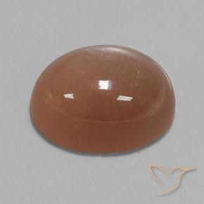 Piedra de Luna Marrón cálido natural de 24.75 ct, Ovalada, Opaco