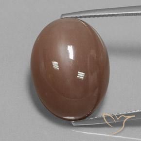 22.75ct Natural Marrón medio Piedra de Luna, Ovalada, Opaco