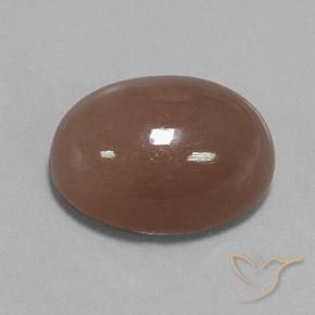 Piedra de Luna Marrón medio natural de 22.75 ct, Ovalada, Opaco