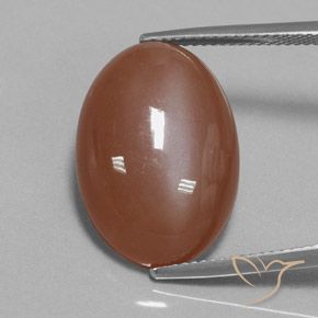 15.54ct Natural Marrón canela Piedra de Luna, Ovalada, Opaco