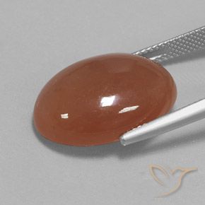 Piedra de Luna Marrón canela natural de 15.54 ct, Ovalada, Opaco