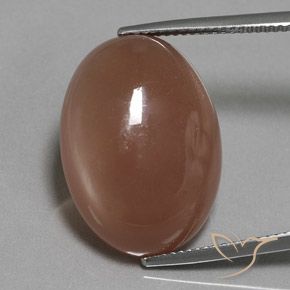 18.61ct Natural Marrón medio Piedra de Luna, Ovalada, Translúcido