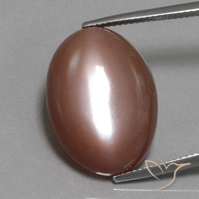 19.77ct Natural Marrón cálido Piedra de Luna, Ovalada, Opaco
