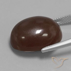 Piedra de Luna Marrón medio natural de 23.33 ct, Ovalada, Opaco