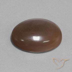 Piedra de Luna Marrón chocolate natural de 18.80 ct, Ovalada, Translúcido