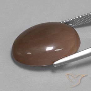Piedra de Luna Marrón chocolate natural de 18.80 ct, Ovalada, Translúcido