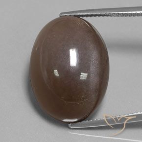 30.12ct Natural Marrón chocolate Piedra de Luna, Ovalada, Opaco