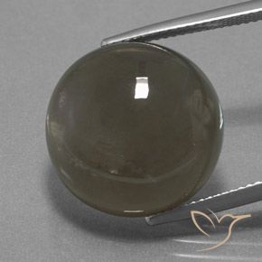 18.40ct Natural Marrón gris Piedra de Luna, Redondo, Translúcido