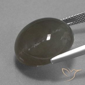 Piedra de Luna Marrón gris natural de 18.40 ct, Redondo, Translúcido