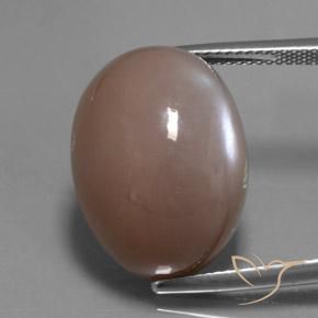 24.60ct Natural Marrón claro medio Piedra de Luna, Ovalada, Translúcido
