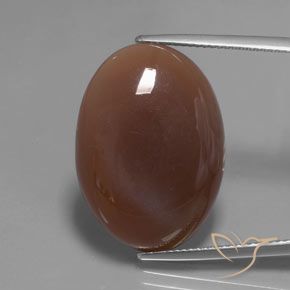 22.04ct Natural Marrón medio Piedra de Luna, Ovalada, Translúcido