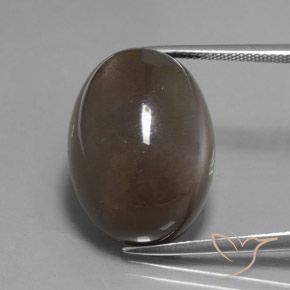 27.12ct Natural Marrón sombra Piedra de Luna, Ovalada, Translúcido