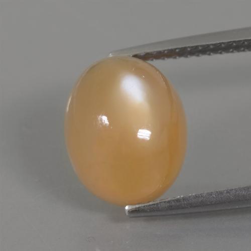 Piedra de Luna Crema naranja dorado natural de 4.49 ct, Corte Óvalo, Transparente