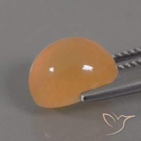 Piedra de Luna Crema naranja dorado natural de 5.07 ct, Ovalada, Transparente