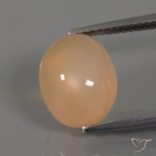 4.41ct Natural Dorado-naranja medio Piedra de Luna, Ovalada, Transparente