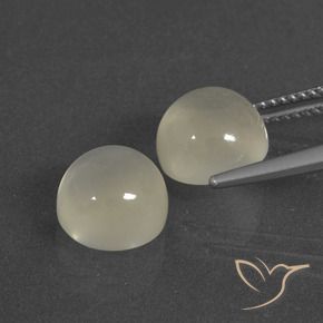 Gemas de Piedra de Luna Blanco cálido natural de 7.11 ct, Redondo, Translúcido