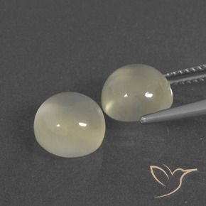 Gemas de Piedra de Luna Blanco cálido natural de 6.70 ct, Redondo, Translúcido