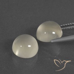 Gemas de Piedra de Luna Blanco cálido natural de 6.83 ct, Redondo, Translúcido