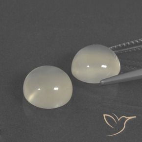 Gemas de Piedra de Luna Blanco cálido natural de 5.88 ct, Redondo, Translúcido